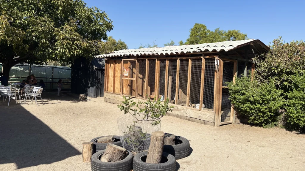El gallinero y el patio — Poki Play
