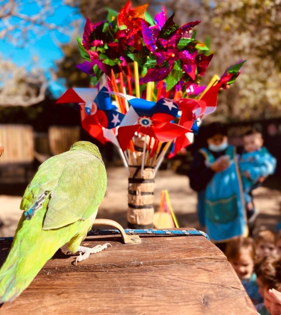 Fiestas Patrias en el jardín — Poki Play